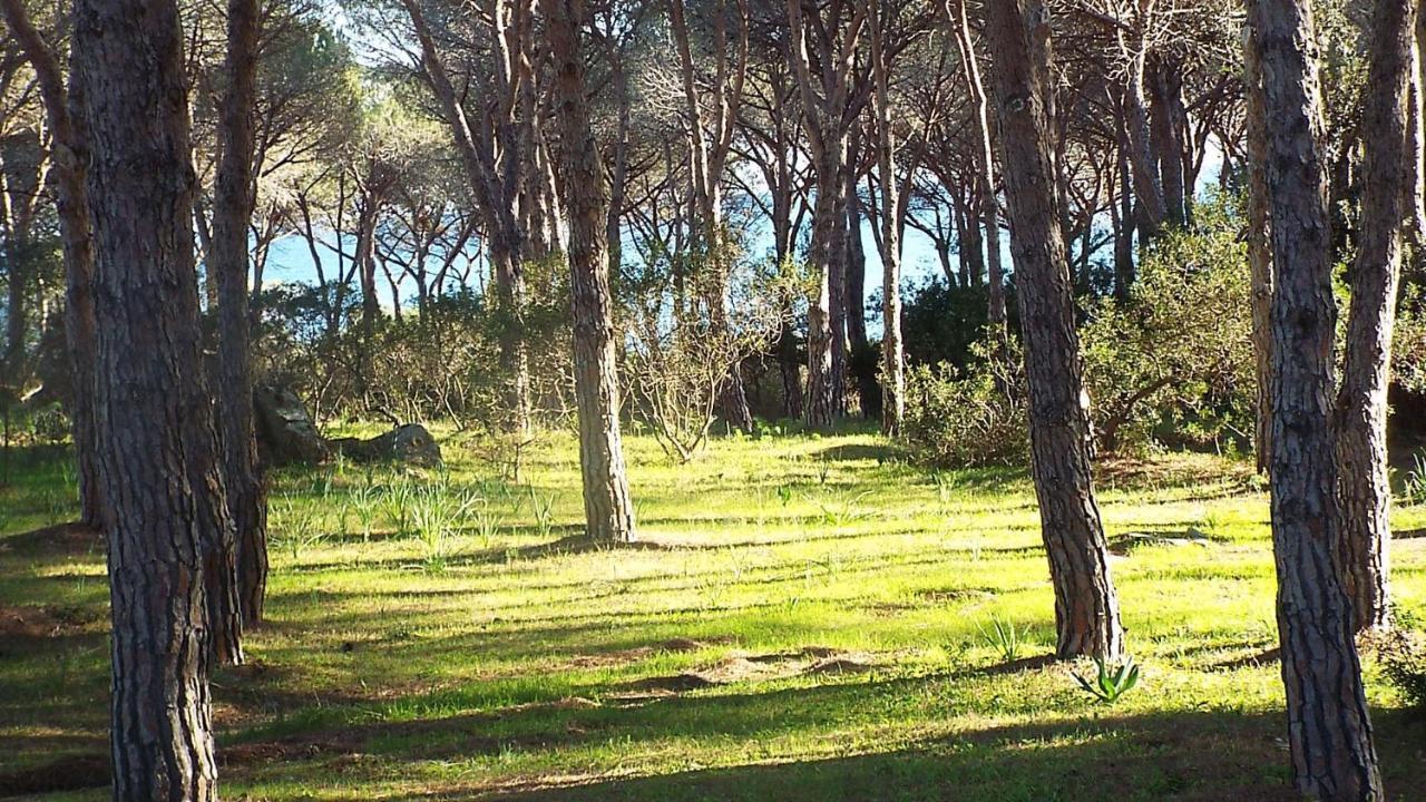 Villetta Con Giardino A Budoni Zewnętrze zdjęcie